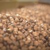 خوراک خوراک ماهی اکسترود قزل آلا