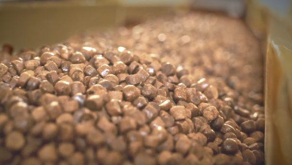خوراک خوراک ماهی اکسترود قزل آلا
